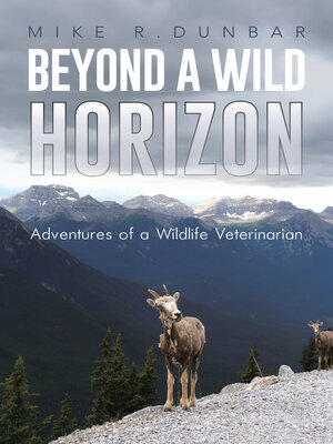 cover image of Beyond a Wild Horizon